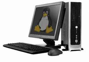 PC (Linux)