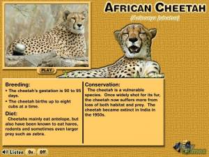 Animals of Africa