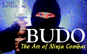 Budō: The Art of Ninja Combat!