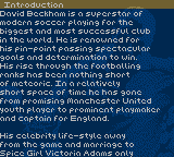 David Beckham Soccer