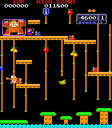 Donkey Kong Junior