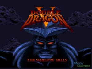 Double Dragon V: The Shadow Falls