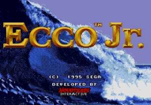 ECCO Jr.