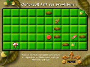 L\'écureuil fait ses provisions