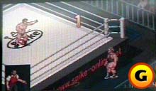 Fire Pro Wrestling