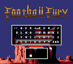 Football Fury