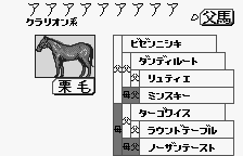 Kyousouba Ikusei Simulation: KEIBA