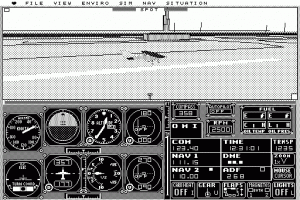 Microsoft Flight Simulator