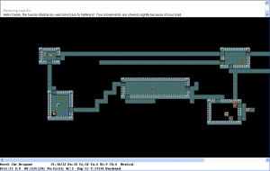 NetHack