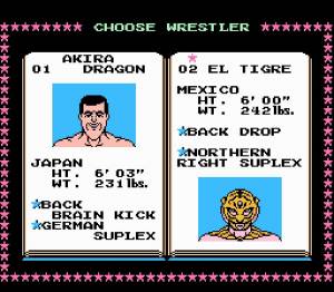 Tecmo World Wrestling