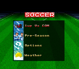 Virtual Soccer