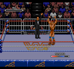 WWF Rage in the Cage