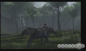 Wander Donkey