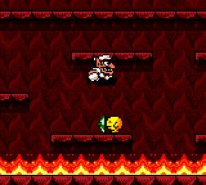 Wario Land 3