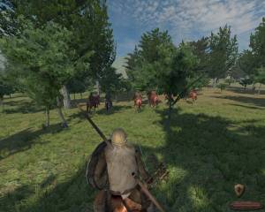 Mount & Blade